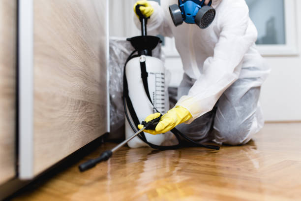 Best Mosquito Control Services  in Alton, IA
