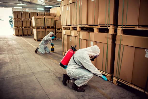 Best Pest Removal Services  in Alton, IA