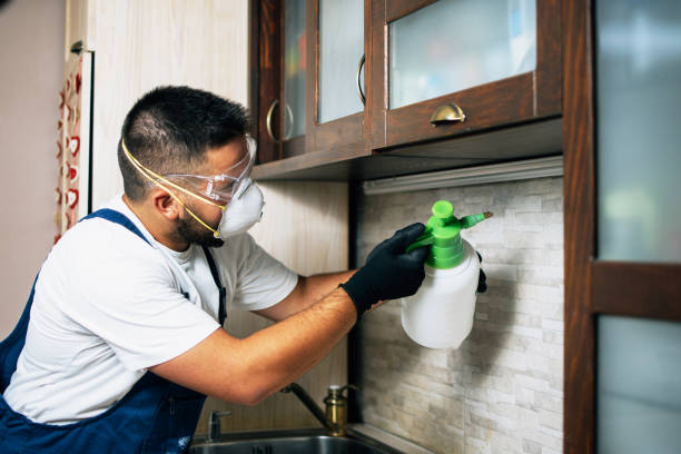Trusted Alton, IA Pest Control Experts